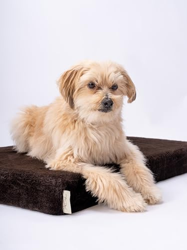 TrendPet VitaMedog - Viskoelastische Matratze Hundebett für Hunde braun 75x55x7 cm
