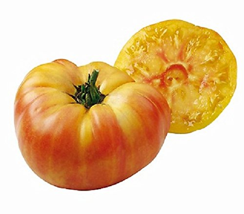 Lot de 10 Graines - Tomates Jaune ananas - gros fruits de 500 grammes variete ancienne fruit legume