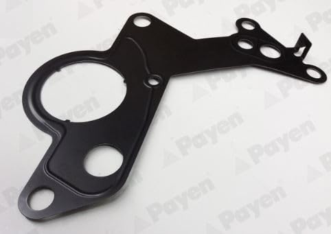 PAYEN Dichtung, Unterdruckpumpe KK5746