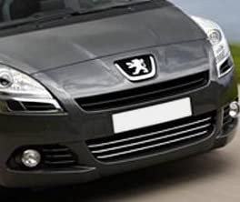 Luxyline Baguette de calandre inférieure chromée Compatible Peugeot 5008 09-13 & Peugeot 5008 Phase 2 13-23