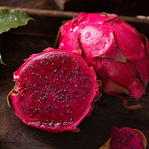 1 bolsa Dragon Fruit Semillas rústicas Suculenta 3 Color Yarary Planta Estética Semillas Rojo Semillas Pitaya