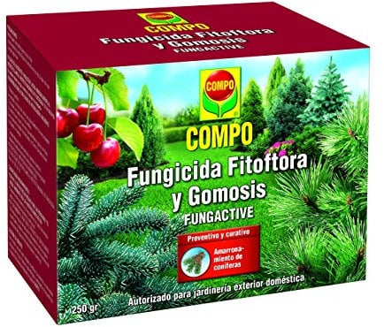 COMPO Fungicida Fitóftora y Gomosis, Preventivo y curativo, Apto para jardinería exterior doméstica, Polvo soluble, 250 gr