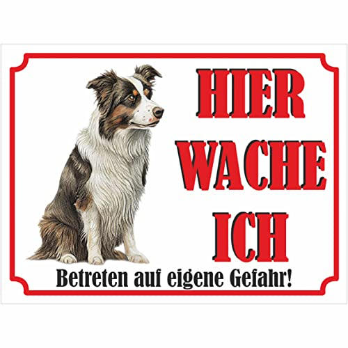 INDIGOS UG - Border Collie - Schild bedruckt - Hier wache ich - Aluverbundplatte weiß - ab 20x15 cm - Spruch - Deko Geschenkidee für Ihren Hund - Zaun - Türschild