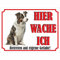 INDIGOS UG - Border Collie - Schild bedruckt - Hier wache ich - Aluverbundplatte weiß - ab 20x15 cm - Spruch - Deko Geschenkidee für Ihren Hund - Zaun - Türschild