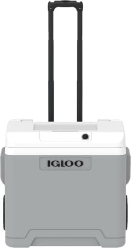 IGLOO IE42 AC/DC elektrische Kühlbox mit Telekop-Griff und Rollen, 42 Liter, Mini-Kühlschrank für Auto und Steckdose, 12V und 230V, grau