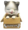 Cxssxling WackelKatze Katze Wackelkopf Figur Wackelfiguren Schaukelspielzeug Tanzender Katze Ornamente Spielzeug für Auto Armaturenbrett Dekoration