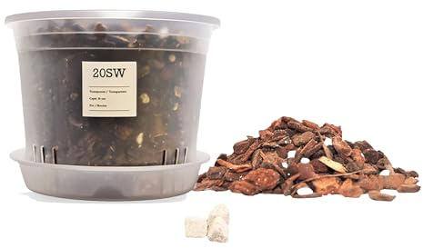 Kit para Trasplantar Orquídeas · Maceta 16 cm · Plato · Sustrato 1L · Abono
