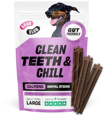 Large Insect Protein Calming Dental Stick - Getreidefrei, Hypoallergen und Planetenfreundlich - 1 Packung mit 7 großen Sticks (175g) - GRUB CLUB