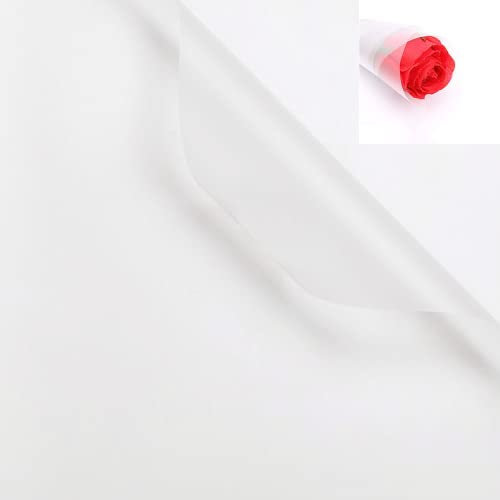20 Stück doppelseitiges farbiges Blumen-Geschenkpapier, wasserdichtes Valentinstag, Blumenstrauß, Geschenkpapier, 58x58 cm, für Bastelarbeiten, Blumenladen, Blumenstrauß-Verpackung (transparent)