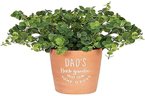 Classic Brown Terracotta Dad's Garden Plant Pot - 16cm x 13cm (1 Pc.) - Lush Greenery Design, Eco-Friendly & Durable Pot - Perfect for Gardens
