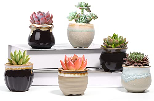 T4U Small Ceramic Succulent Pots with Drainage Set of 6, Mini Pots for Plants, Tiny Porcelain Planter, Air Plant Flower Pots Cactus Faux Plants Containers, Home and Office Decor