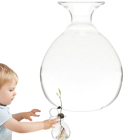 Esncddym Avocado Seed Germination Vase,Glass Avocado Seed Sprout Germination Vase, Clear Avocado Tree Growing Kit Pot, Avocado Tree Growing Kit Glass Vases Seed Plant Vase for Gardening Lover