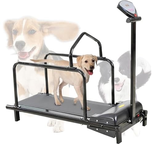 Eastnmythet Hundelaufband für Kleiner Hunde, 80 cm Lange Laufbahn, Lauftrainingsgerät für Hunde im Innen- und Außenbereich, Anzeige von Distanz, Zeit, Geschwindigkeit und Kalorien