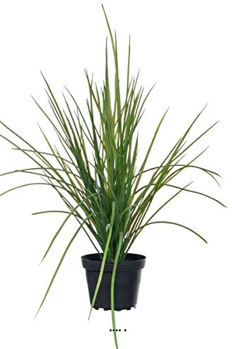 Artificielles.com - Herbe touffe artificielle en pot H 40 cm D 45 cm dense et aerienne