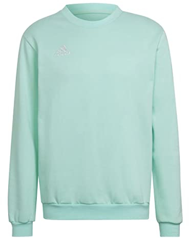 adidas Men's Entrada 22 Sweatshirt, Clear Mint, M