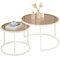 Soayone Wohnzimmertisch Glas, Couchtisch Weiß mit Braunes Glas, Living Room Table, Runde Couchtische, Couchtisch Modern, Couchtisch Set 70x70x45 & 50x50x35 cm