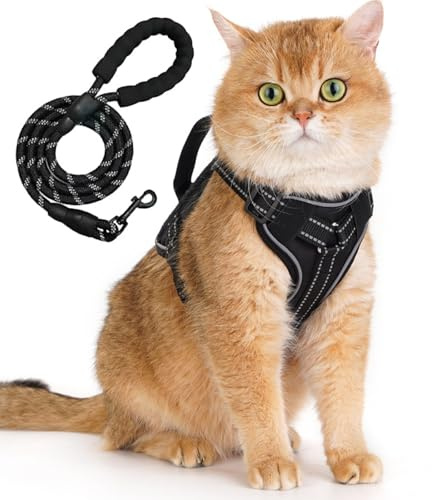 Katzengeschirr mit Leine, Katzengeschirr Ausbruchsicher mit Reflektierenden Streifen, Brustgeschirr Verstellbar für Kitten/Große Katze, Katze Sicherheitsgeschirr Katzenleine mit Geschirr (M/6.5-9.5kg)