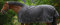 PFIFF 102836 Outdoordecke Highneck, Redendecke, leicht gefütterte Winterdecke, wasserdichte Weidedecke, Decke ohne Rückennaht, Polyester Futter, 150g/qm, Schwarz-Blau, 125