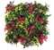 Well Home Jardín Vertical Artificial, Panel de Seto 100x100cm, para decoración Interior y Exterior En Colores Rojos y Verdes para decoración Natural