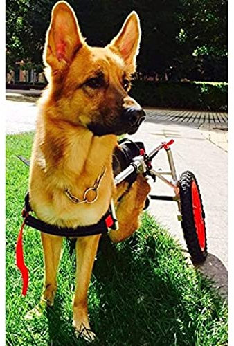 GJUOFFKO Haustier-Fahrradanhänger, Rollstuhl, Hunderollstuhl, großer Hund, Hinterbeine, Gehhilfe, Hundekinderwagen (L, XL)
