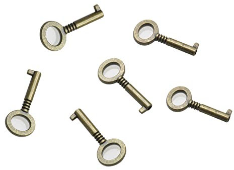 DGBRSM 6 chiavi di ricambio per mini lucchetti retrò, adatte per chiavi universali come mini serrature a forma di orso, serrature a cuore, ecc.