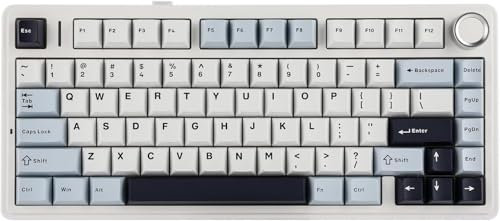 OVERCLOCK x Aula F75 Gasket 75% Teclado Mecánico Inalámbrico/Bluetooth/USB-C, con cinco capas de almohadilla, mando, RGB, batería, NKRO (LEOBOG Reaper Switch, Light Blue)