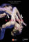 Anna Karenina – A ballet by John Neumeier [2 DVDs]