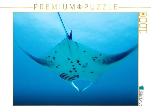 Puzzle · Mantarochen im Anflug | Der elegante Meeresgleiter · 1000 Teile · Lege-Größe 64 × 48 cm · CALVENDO Puzzle