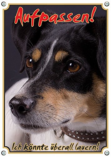 Petsigns Hundeschild Jack Russel - Aluminiumschild wetterfest und robust - TOP TIPP, DIN A3