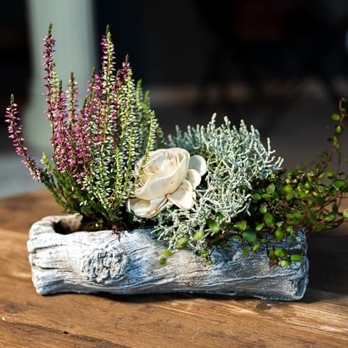 Zement Pflanzschale grau Baumstamm (A) 12 x 24cm Blumentopf Deko-Schale bepflanzbar