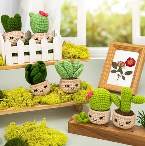 Mecmbj Crochet Kit for Beginners, 6 Pieces Handmade Plant Potted Crochet Starter Kit, with English Step-by-Step Video Tutorials, Instructions, DIY Knitting Supplies, Birthday Gift(Plant Potted)