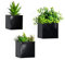 3pcs Jardinières Murales Carré Noir Pots de Fleurs Suspendus Métal Porte-Plante Murale Planteur Modernes Vertical Décoration Murale de Maison Balcon Jardin pour Plantes d'intérieur