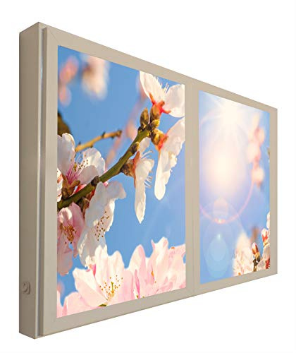 CCRETROILUMINADOS Ventanas Falsas Cuadros Decorativos Iluminada Flor de Almendro