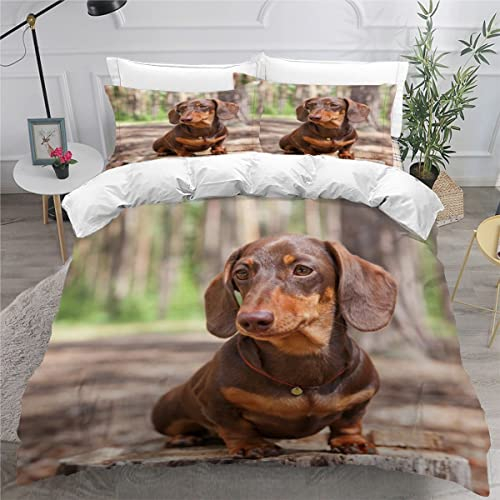AOYNP Bettwäsche 135x200 Dackel Bettbezug Set 3 teilig Weich Microfaser Bettwaren Süß Tier Hund Bettwäsche-Set für Kinder Teenager ReißVerschluss Bettbezug Mit 2 Kissenbezug 80x80cm
