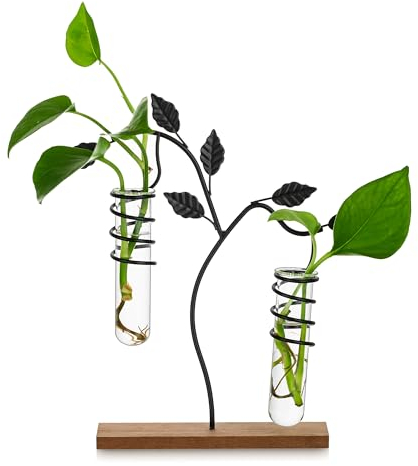 Glasseam Propagation Station Vase Glas, Desktop Pflanzen Terrarium Blumenvase Modern, Kreative Hydrokultur Vasen Deko, Reagenzglas Vase mit Metallrahmen, Kleine Glasvasen für Tischdeko Wohnzimmer Büro