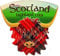 Highland Cow Fridge Magnet