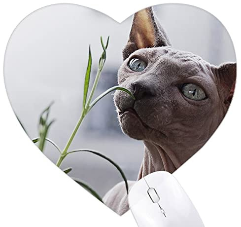 Animal Gray Thin Cat Photograph Heart Mousepad Rubber Mat Game Office