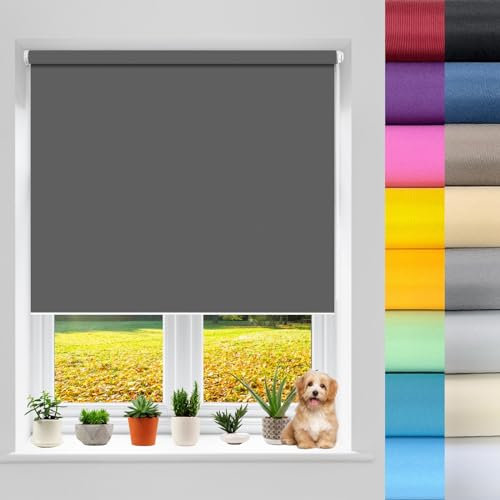 Thermal Blackout Roller Window 100 x 200 cm Skylight Blind, Portable Blackout Blinds 100% Blackout Waterproof Fabric, No Drill for Bedroom Nursery Loft Travel RV Car, Dark Grey