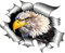 Zerrissener Adler 3D Aufkleber,Asudaro 15 * 15cm 3D Adler Aufkleber Kreativ Tier PVC Sticker Karosserieaufkleber Personalisierter Autoaufkleber Körper Aufkleber wasserdichte Laptop Aufkleber,Schwarz