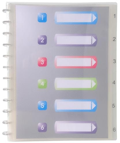 Exacompta - Réf. 86320E - Carton de 4 Protège-documents amovibles à anneaux - 30 pochettes cristal lisse - intercalaires rigides imprimés détachables - couverture en polypro rigide - couleur cristal