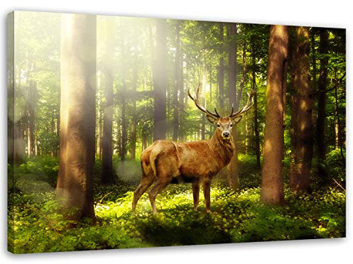 Feeby. Wandbild - 1 Teilig - 40x50 cm, Leinwand Bild Leinwandbilder Bilder Wandbilder Kunstdruck, HIRSCH, NATUR, BRAUN, GRÜN