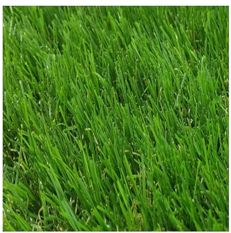 Rouleau de Pelouse Synthétique, Tapis Gazon Artificiel de 40 mm, 2x5 Metros, Vert