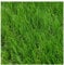 Rouleau de Pelouse Synthétique, Tapis Gazon Artificiel de 40 mm, 2x5 Metros, Vert