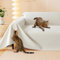 Loiion Sofaschutz Katze, Sofabezug 2 Sitzer Couch Schutz Katze, Rutschfester Couch Überwurf, Sofabezug Wasserdicht, Schonbezug Sofa für Haustier Kinder Katzen Hunde, Beige, 300x180cm