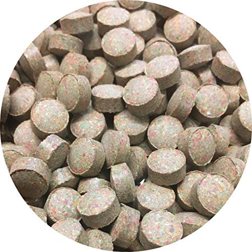 Futtertabletten Linsen Tabletten 8mm Braun Zierfischfutter Fischfutter Wels Tabs (100ml)