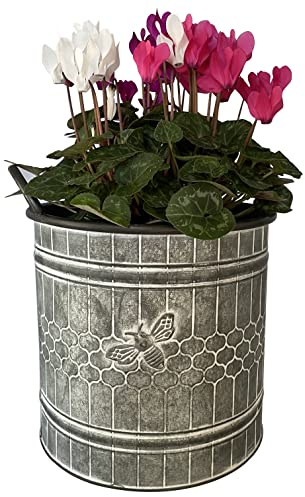 OF Große Blumentöpfe mit Deko Biene-Übertopf, Blumentopf, Pflanzkübel im Vintage Stil (Großer Eimer), Silber Vintage