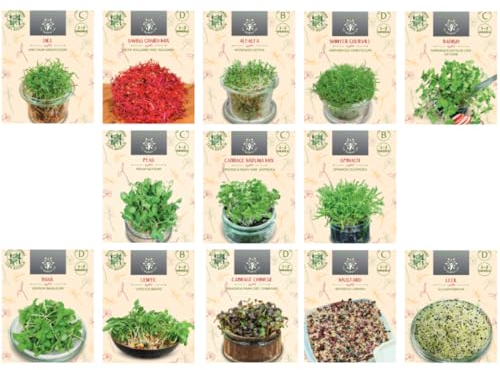 Nojus - Set di semi di verdure microgreen - 13 varietà per giardinaggio indoor, ravanello, porri e altro - facile da coltivare