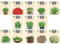 Nojaus Seklos Microgreen Semillas de Hortalizas - 13 Variedades para Jardinería de Interior, Rábanos, Puerros y Más - Fácil Cultivo