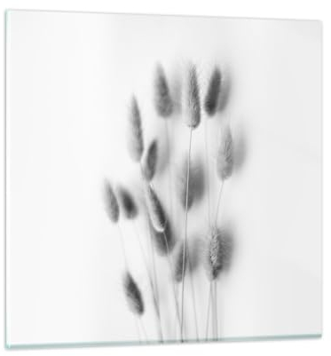 Bilder auf Glas Gras Schwarz Und Weiß Blumen Glasbild 30x30cm Wandbilder Dekoration Wohnzimmer Schlafzimmer Küche Deko Klein Wanddeko Bild im Glas Wand Kunstdruck Art Modern Wall Decor GAC30x30-5401