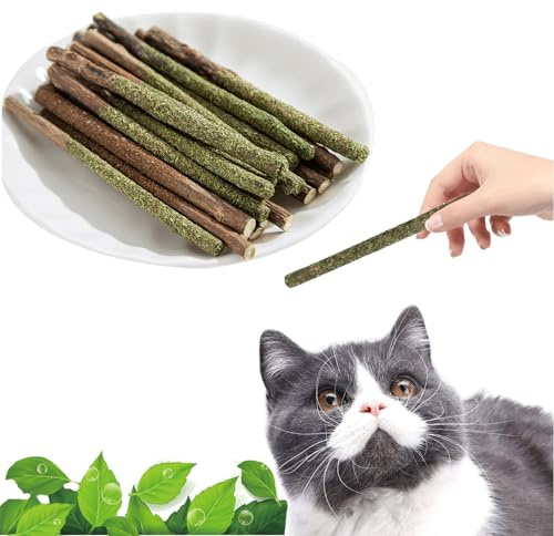 Maiguangta Natural Silvervine Catnip Chew Sticks (12 PC) - Edible Dental Chews for Cats & Kittens, Teething Relief Teeth Cleaning Toys